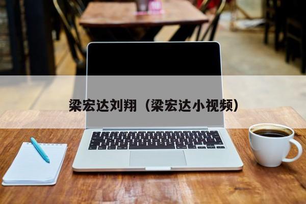 梁宏达刘翔(梁宏达小视频)
