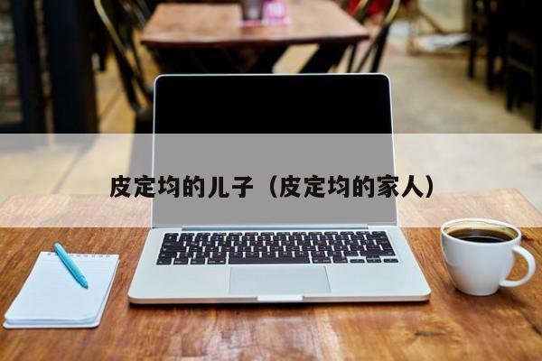 皮定均的儿子(皮定均的家人)