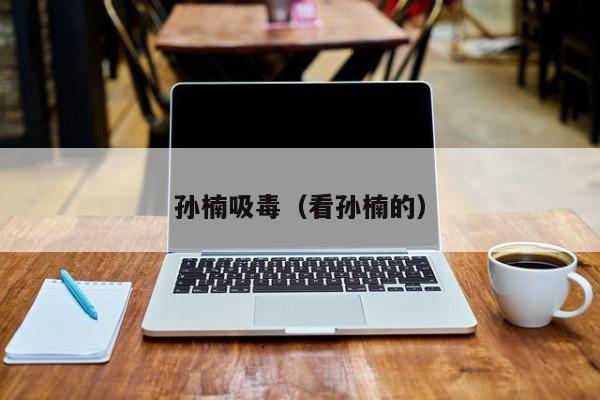 孙楠吸毒(看孙楠的)