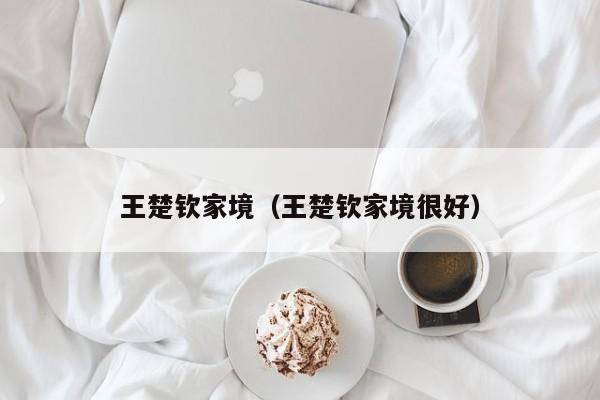 王楚钦家境(王楚钦家境很好)