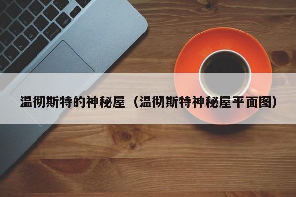 温彻斯特的神秘屋(温彻斯特神秘屋平面图)