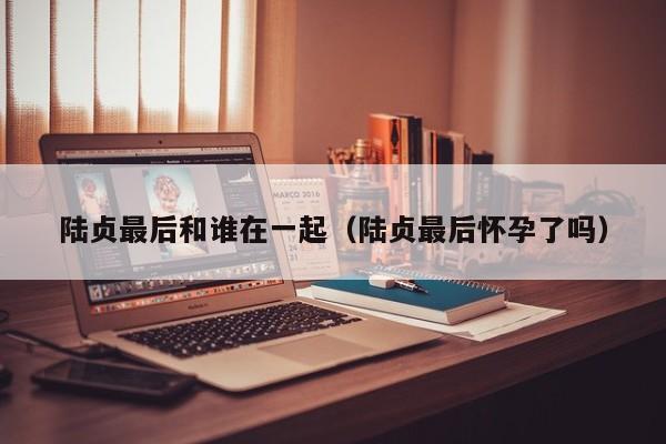陆贞最后和谁在一起（陆贞最后怀孕了吗）
