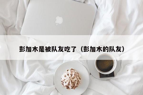 彭加木是被队友吃了(彭加木的队友)