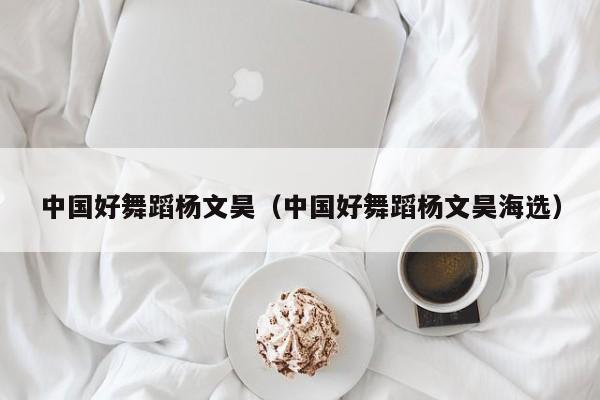 中国好舞蹈杨文昊(中国好舞蹈杨文昊海选)