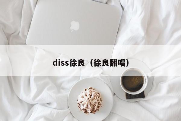 diss徐良(徐良翻唱)