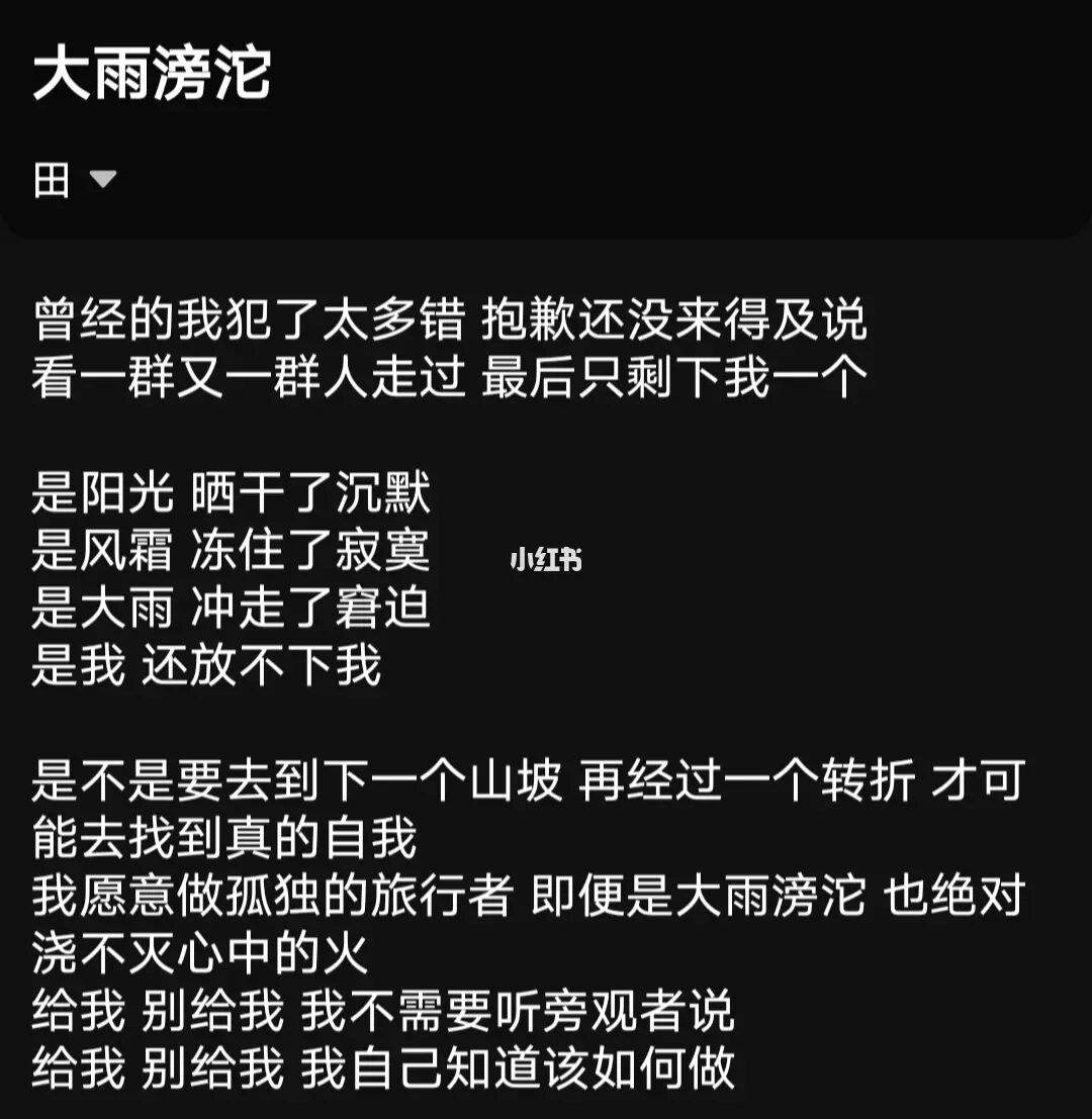 下一个自己歌词 下一个自己歌词