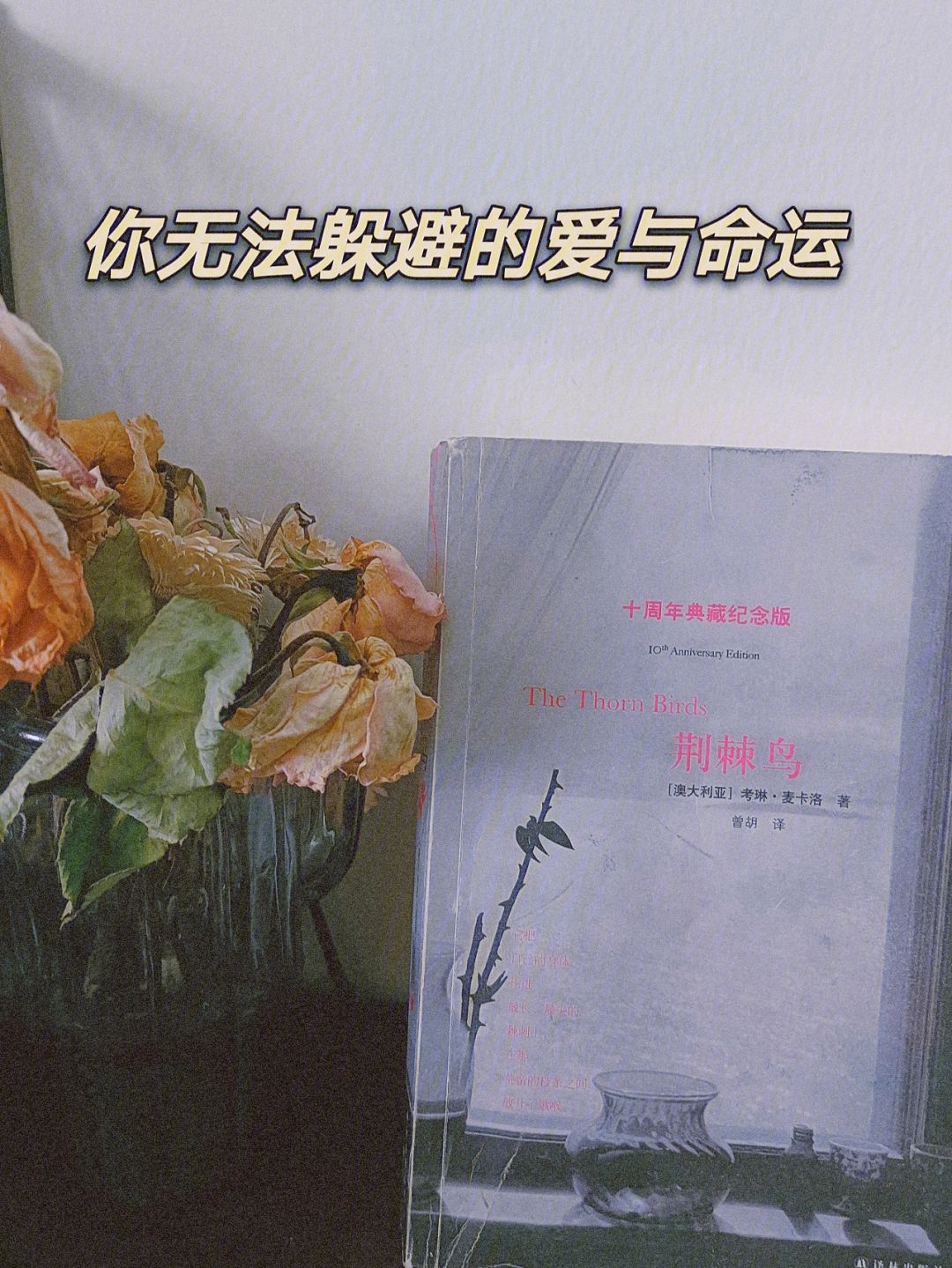 躲避的爱男生版