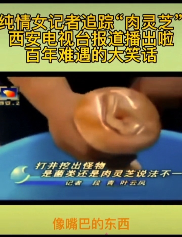 女记者肉灵芝 女记者肉灵芝