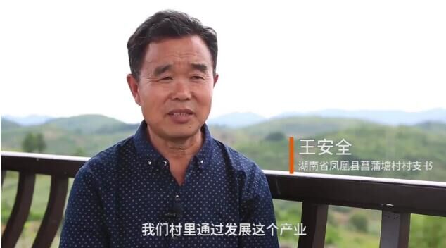 导演王平安 导演王平安