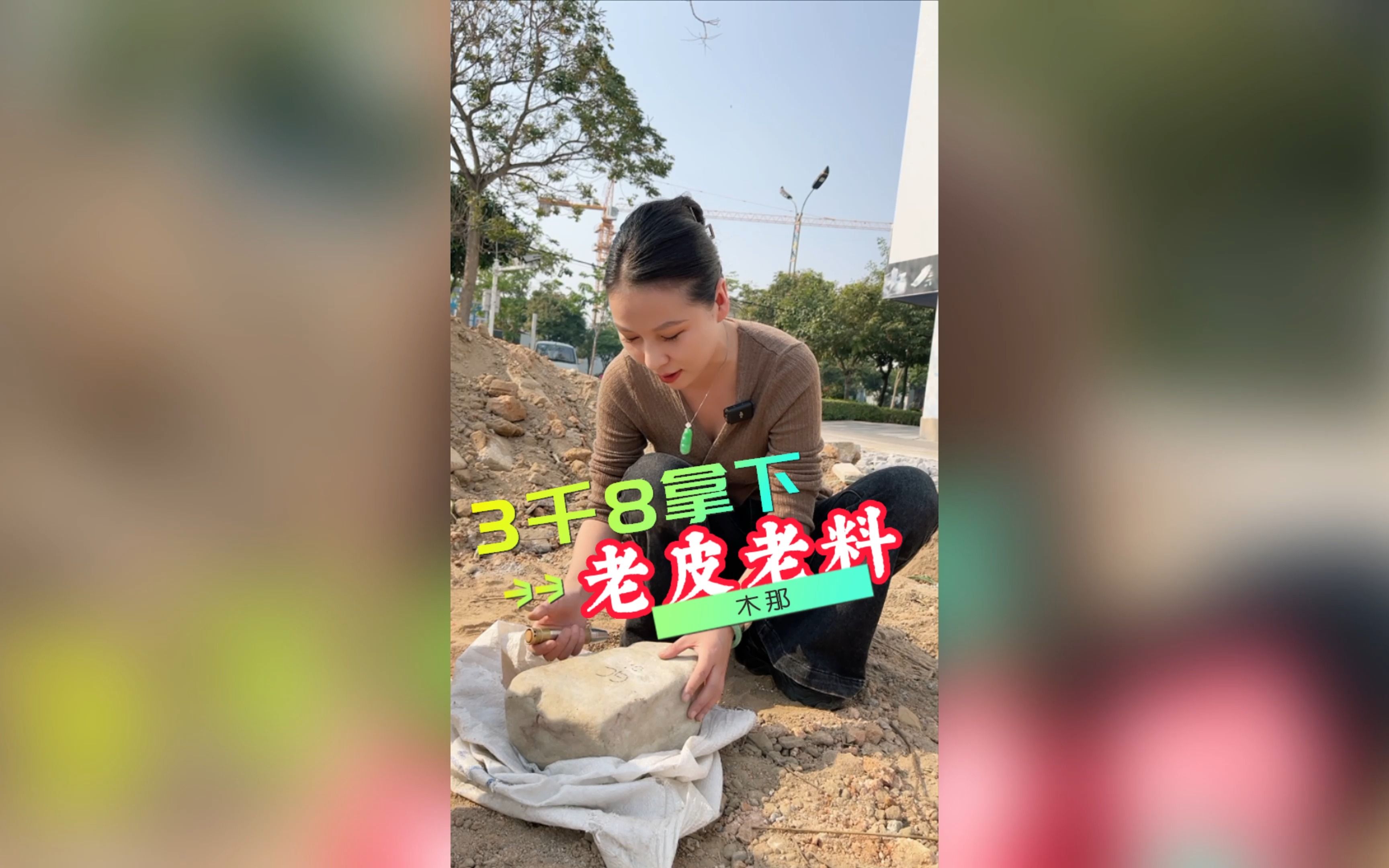 老皮探长 老皮探长