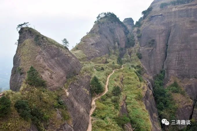 桂平西山附近一座山挖出140岁蛇精16米长的简单介绍