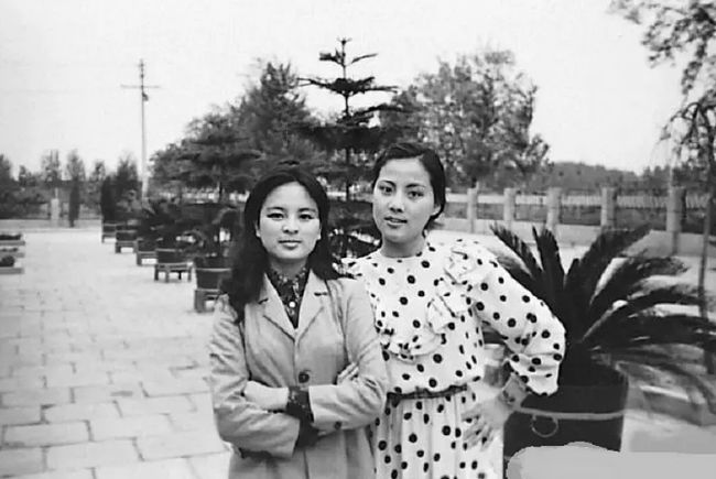 军统围猎的女人 军统围猎的女人