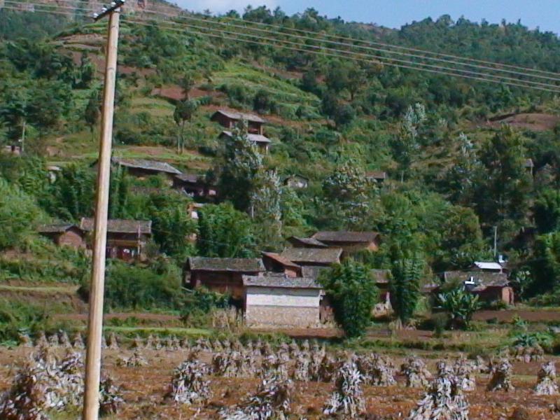 陆元箐 陆元箐