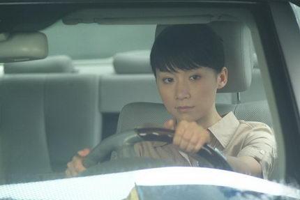 我是一棵小草演员表 我是一棵小草演员表