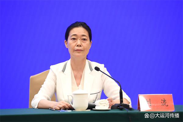 刘流简历