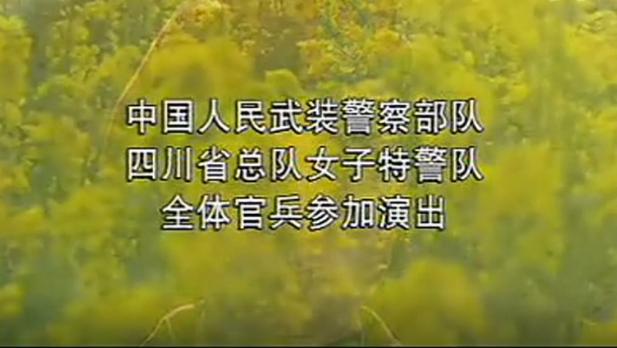 女子特警队演员表 女子特警队演员表