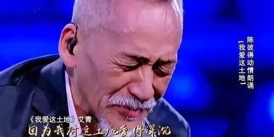 陈彼得团体简历 陈彼得团体简历
