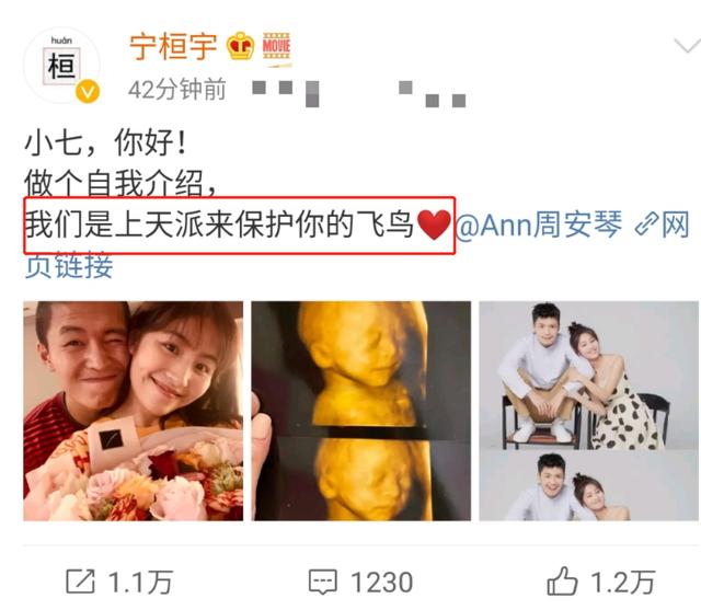 包含13届快男宁桓宇离婚的词条