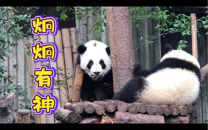 非诚勿扰王子娇