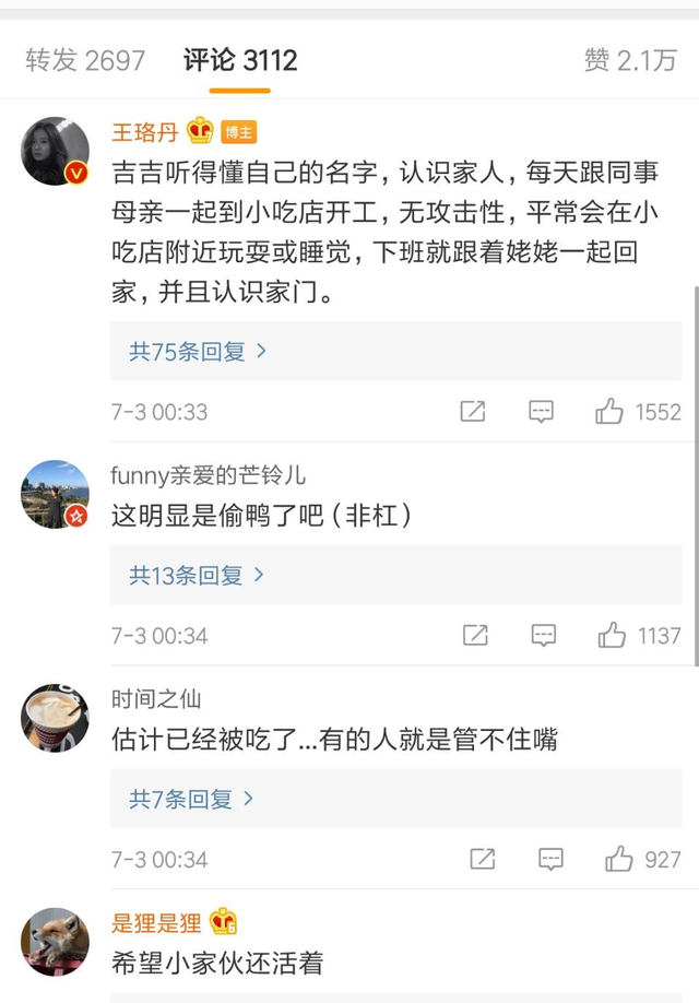 王珞丹发寻鸭启事