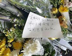 港星万梓良送别袁隆平