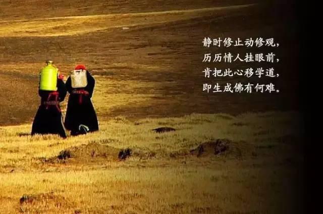 最好不相见仓央嘉措