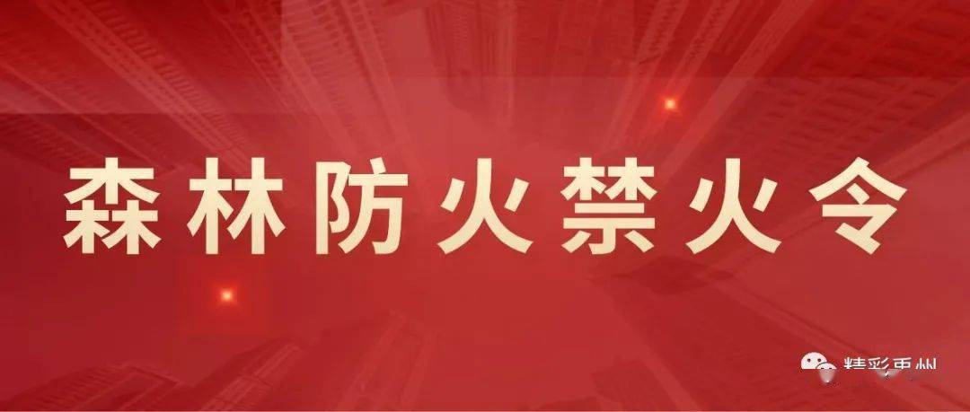 禁娱令 禁娱令