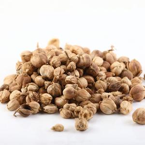 强心脏101026 强心脏101026