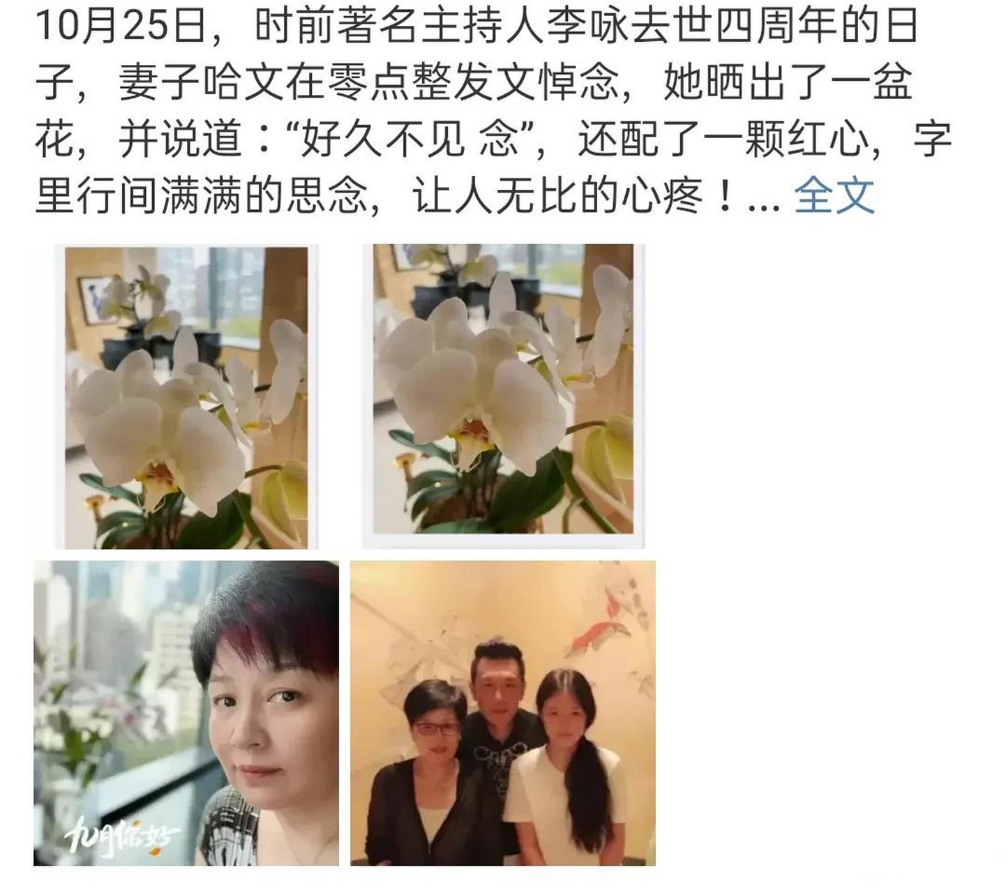 哈文的文