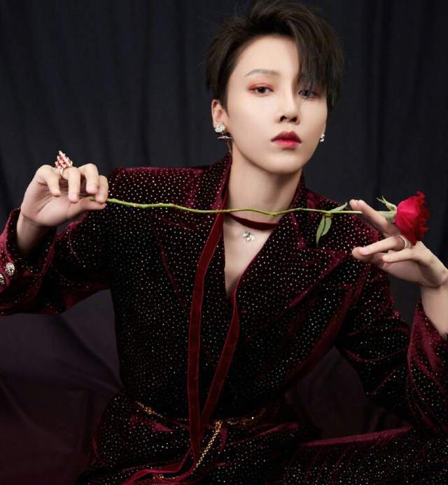 包含刘雨昕为不当言论道歉的词条