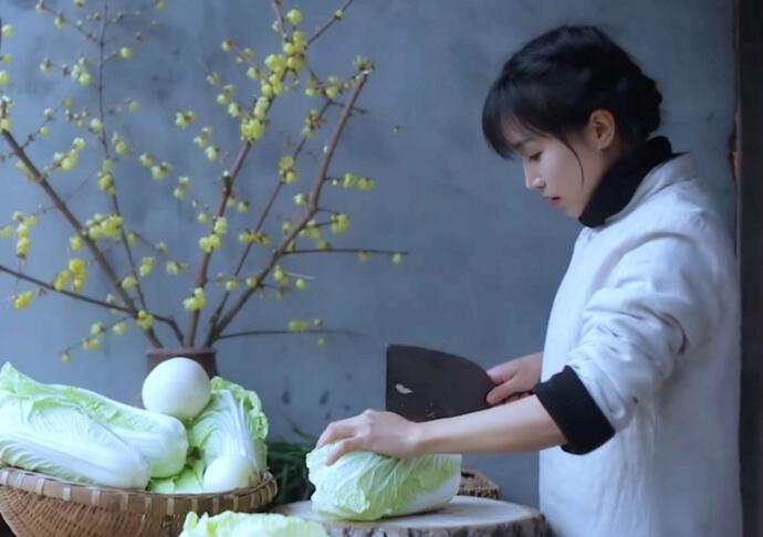越南博主抄袭李子柒