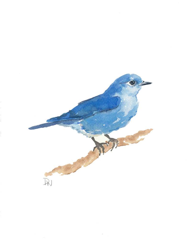 金荷娜bluebird 金荷娜bluebird
