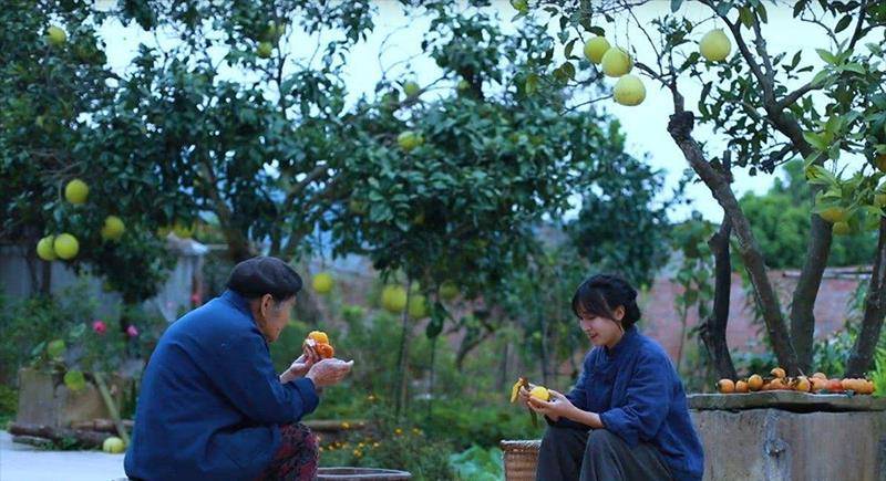 包含李子柒谈原生家庭的影响的词条
