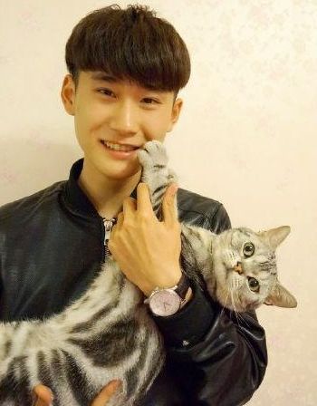 变形计何沛函