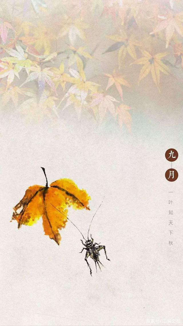 尝鼎一高晓松