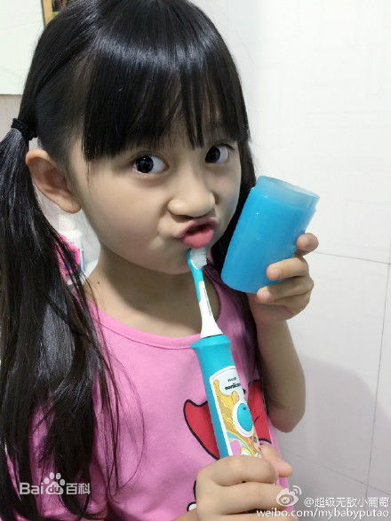 小葡萄博客