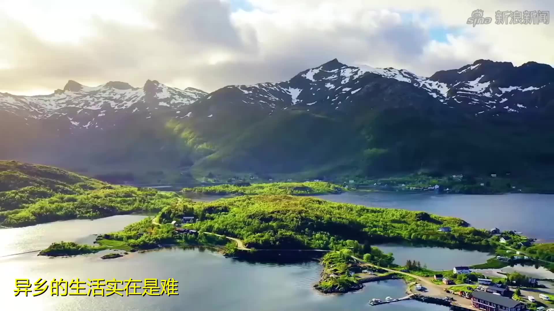 黑鸭子听佛