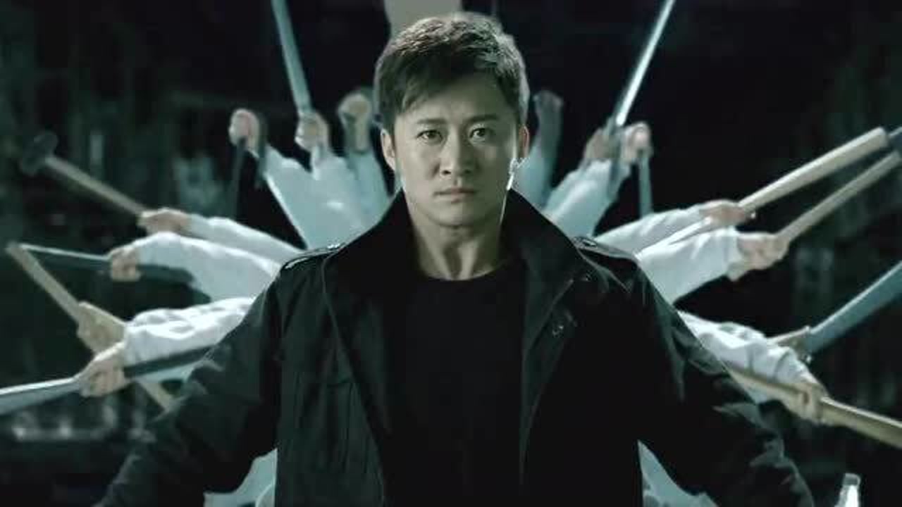 呆板侠票房