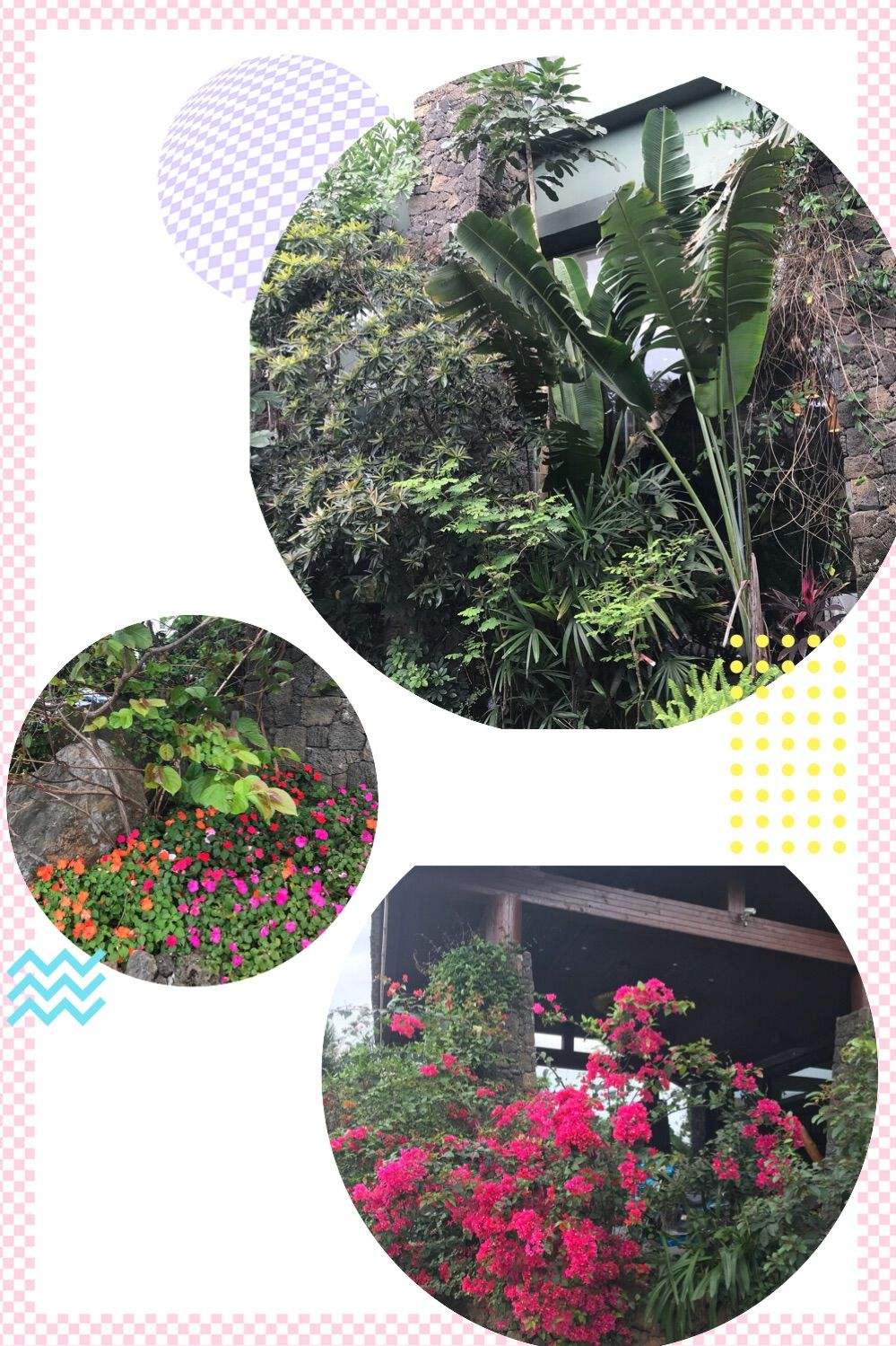 花木扶疏什么意思 花木扶疏什么意思