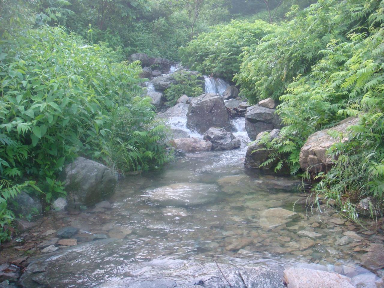 溪水长流小花喵