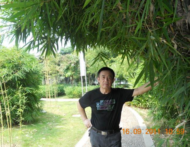 微播江湖56默默照片