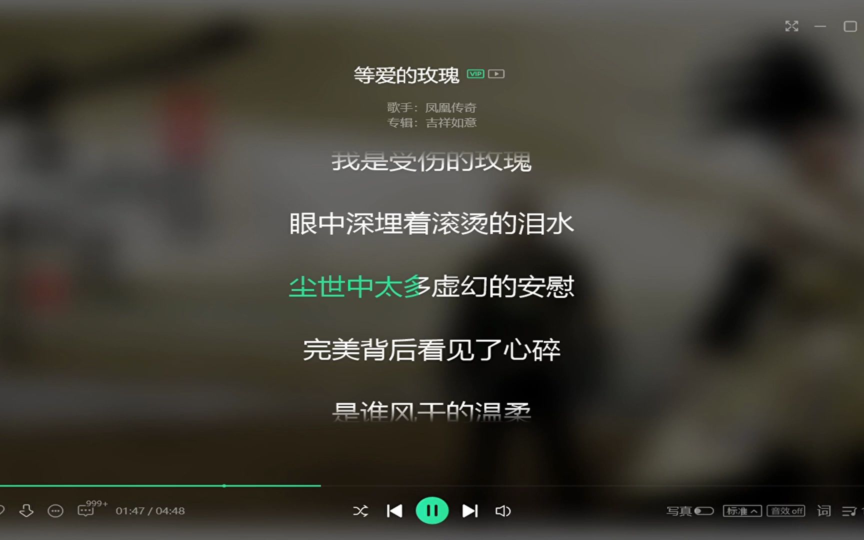 等爱的玫瑰伴奏 等爱的玫瑰伴奏