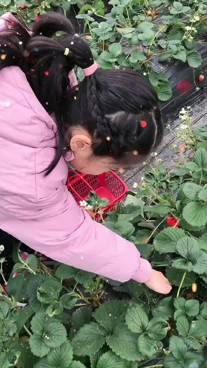 谢欣妤