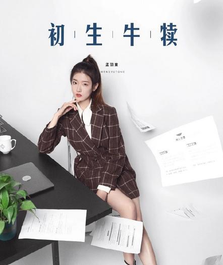 孟羽童团体材料简介 孟羽童团体材料简介