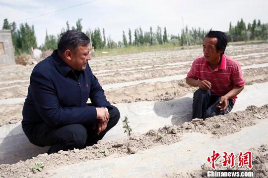 艾尔肯的老婆