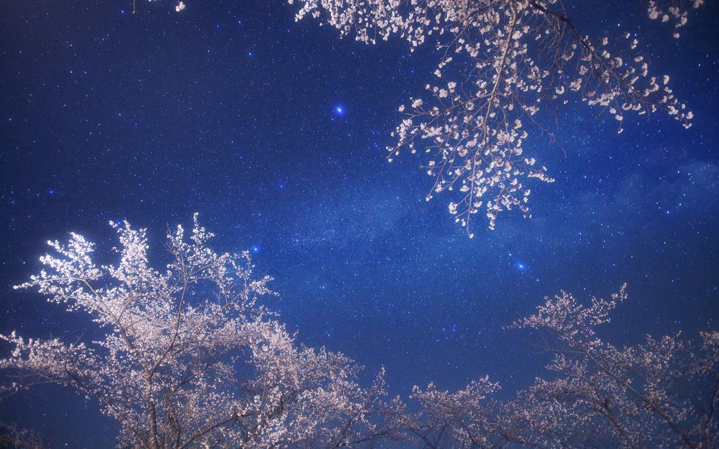 星座书上mv 星座书上mv