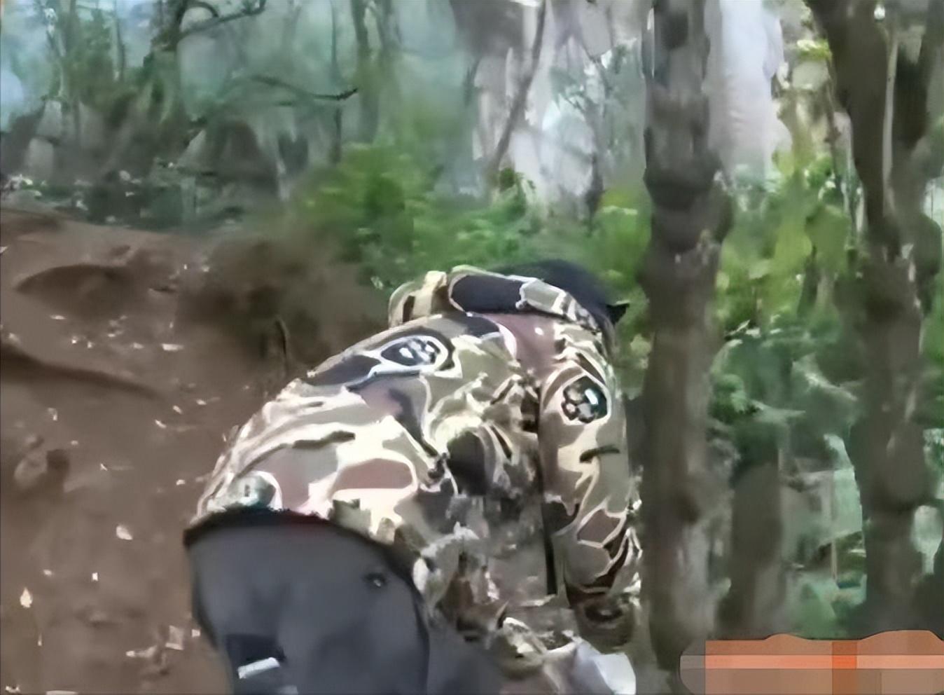 变形记杨杰 变形记杨杰