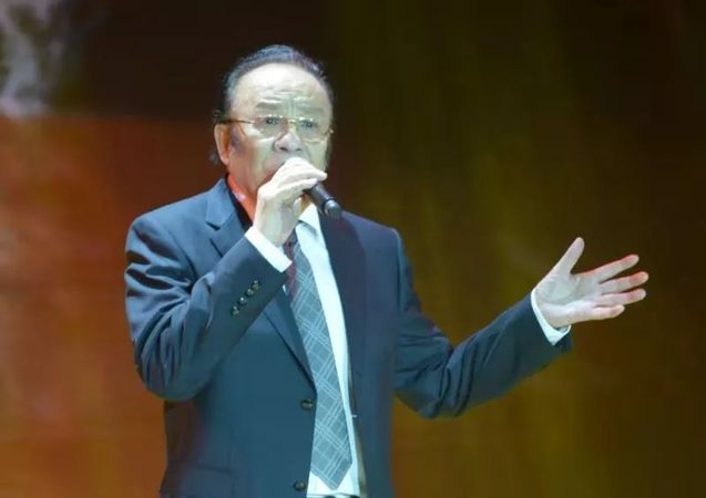 杨洪基团体材料简介 杨洪基团体材料简介