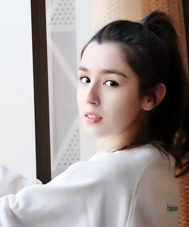 哈尼克孜陈赫