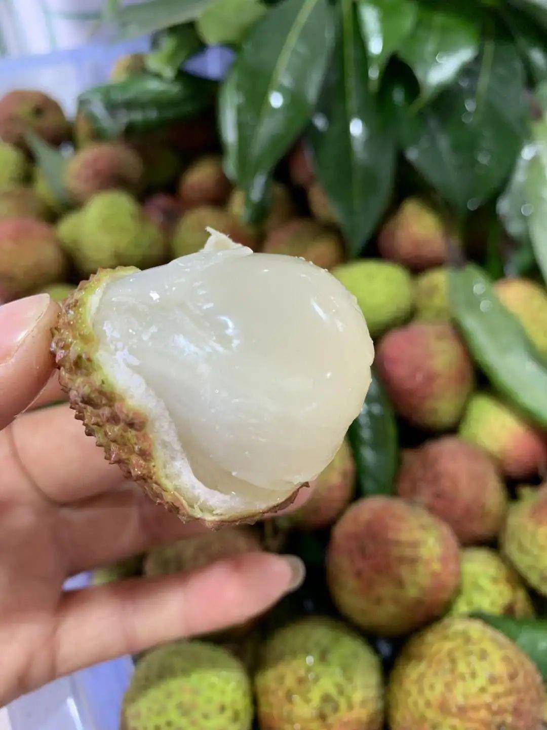 妃子笑剧情 妃子笑剧情